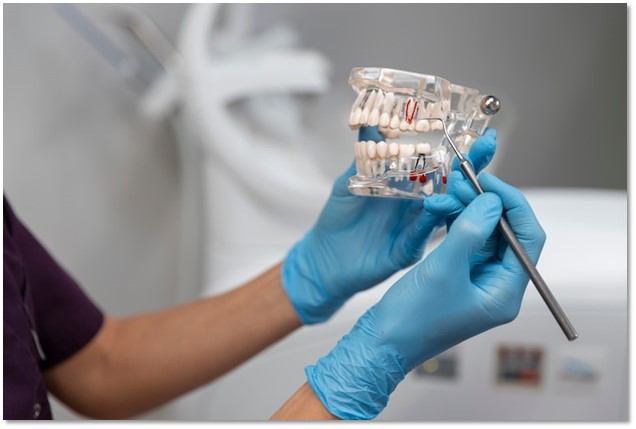 Invisalign Straightens Your Teeth